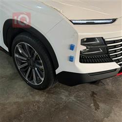 جیتۆر داشينگ